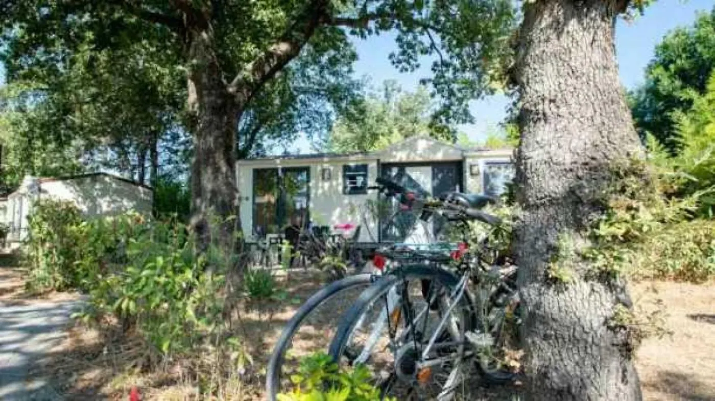 Campsite Camping 4 Etoiles - Parc Aquatique - Eebadh Grimaud